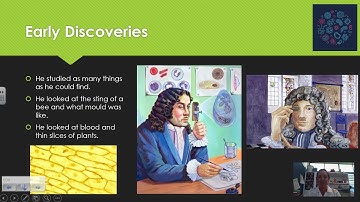 Anton van Leeuwenhoek Microscope Maker