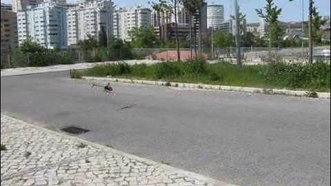 10º Flight Belt CP Part II