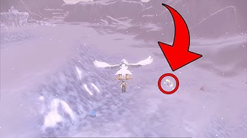 The 2 Full Odds Shiny Pokémon I Found During My Long Zorua Hunt!! | Pokémon Legends: Arceus