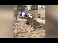 Ərəstun Orucludan inşaat Baronlarına xəbərdarlıq 