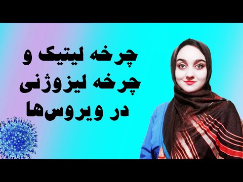 چرخه لیتیک و لیزوژنی در ویروس‌ها