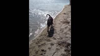 Download Moto Retrieves the Stick Mp3 and Video Moto Retrieves the Stick