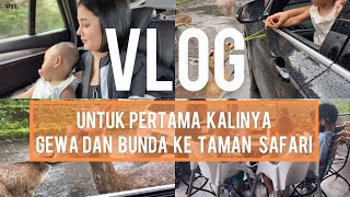 Ke Taman Safari Bogor,di pupupin burung | MAW VLOG 22