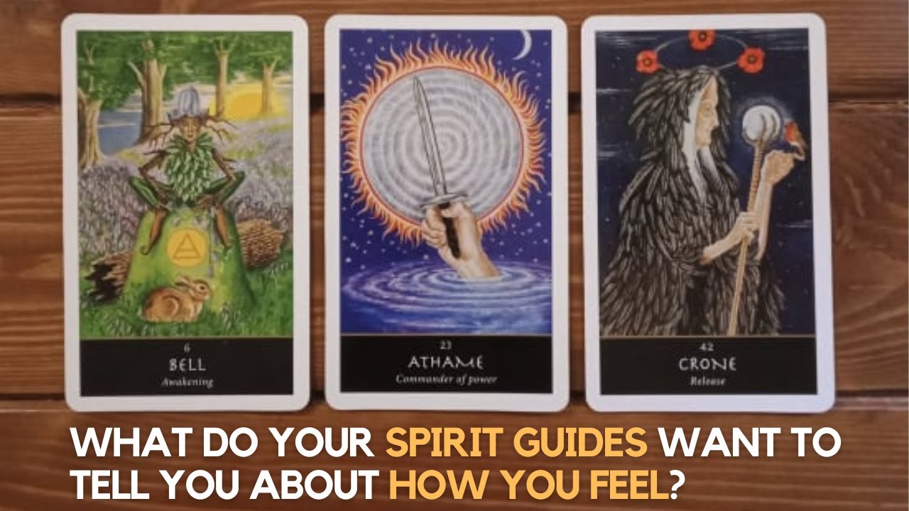 What do your spirit guides want to tell you about how you feel?  ✨😇✨ | Pick a card