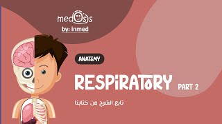 #Anatomy | (8) respiratory part 2