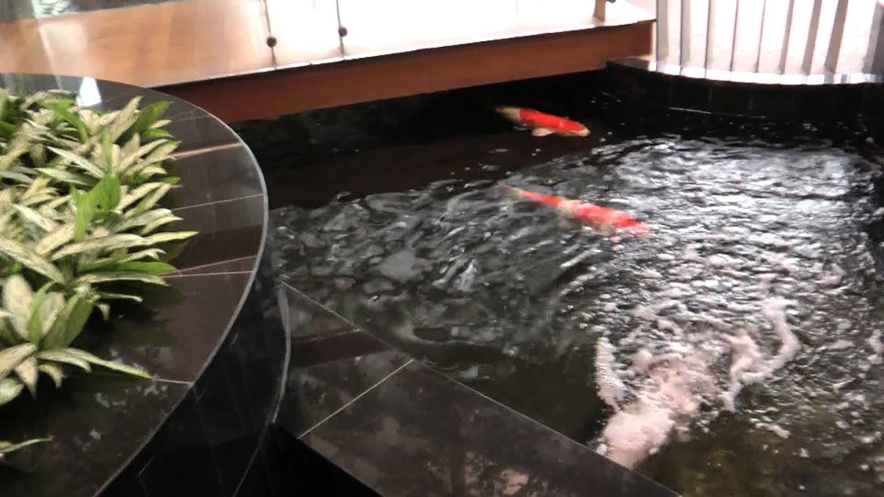 Singapore Changi Airport Terminal 3 Transit Area Koi Pond YouTube