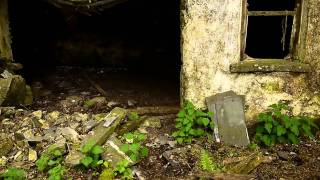 Very Old Irish Farm, Co Tipperary. Famine House?