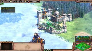 Age of Empires II - Definitive Edition - Pathfinding glitch