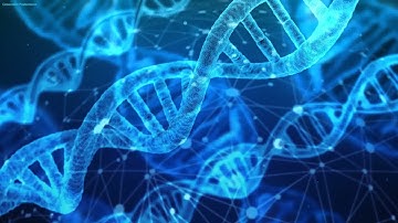 DNA Repair Music with 528 Hz Solfeggio Frequency, Relaxing Music for Healing, Meditation Music