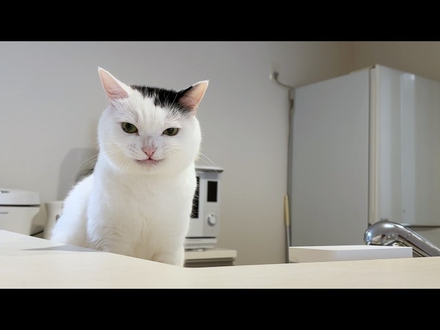 Maybe He Knows Everything About Our Family - YouTube