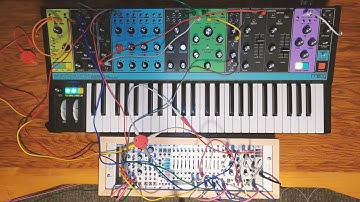 Moog Matriarch + Make Noise Maths 03 - "Band in a Box"