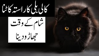 Kali Billi ka Rasta Katna, Billi ka Rona, Superstition in Islam, Taweez in Urdu