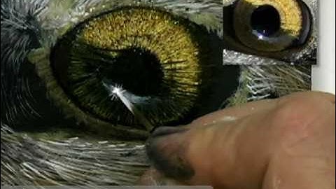 Acrylic Highlights in an Eagle