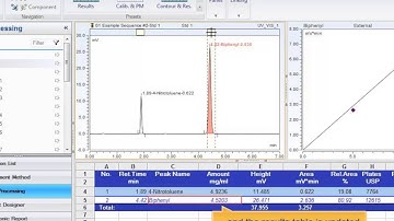 Chromeleon: Dynamic Data Processing