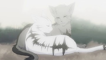 Graystripe x Silverstream - Slipped Away