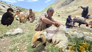 Jahangir and nomadic life: Shearing sheep wool and planting onions on a mountain farm
