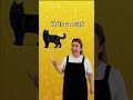 👉 What is this? It’s a cat!🐱 Learn English for Kids#learnenglish #animals #colors