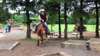 mark bolender demonstrates a trail course challenge pattern 52415