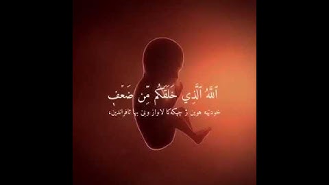 تلاوة خاشعة للشيخ د علي جابر حالات واتس