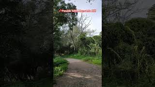 Moinho do Penedo, Lisboa 🌳🌲🌳 #lisbon #visitlisbon #travel