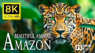 8K TOP Beautiful ANIMALS / Most Beautiful Exotic Jungle Animals 60FPS 8K ULTRA HD