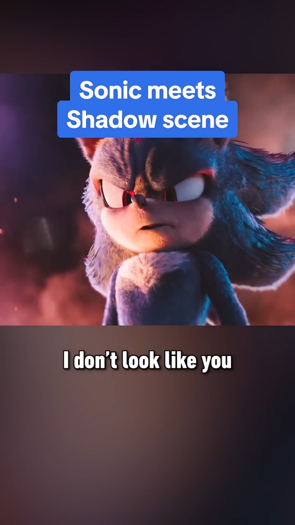 Sonic meets Shadow in Sonic 3