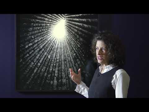 Light Lines | Tour with Hélène Binet