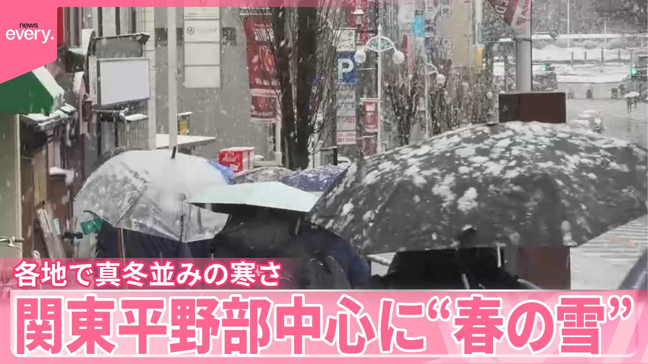 【きょうの1日】都心でも“春の雪”  街で聞いた｢“寒の戻り”のしのぎ方は？｣