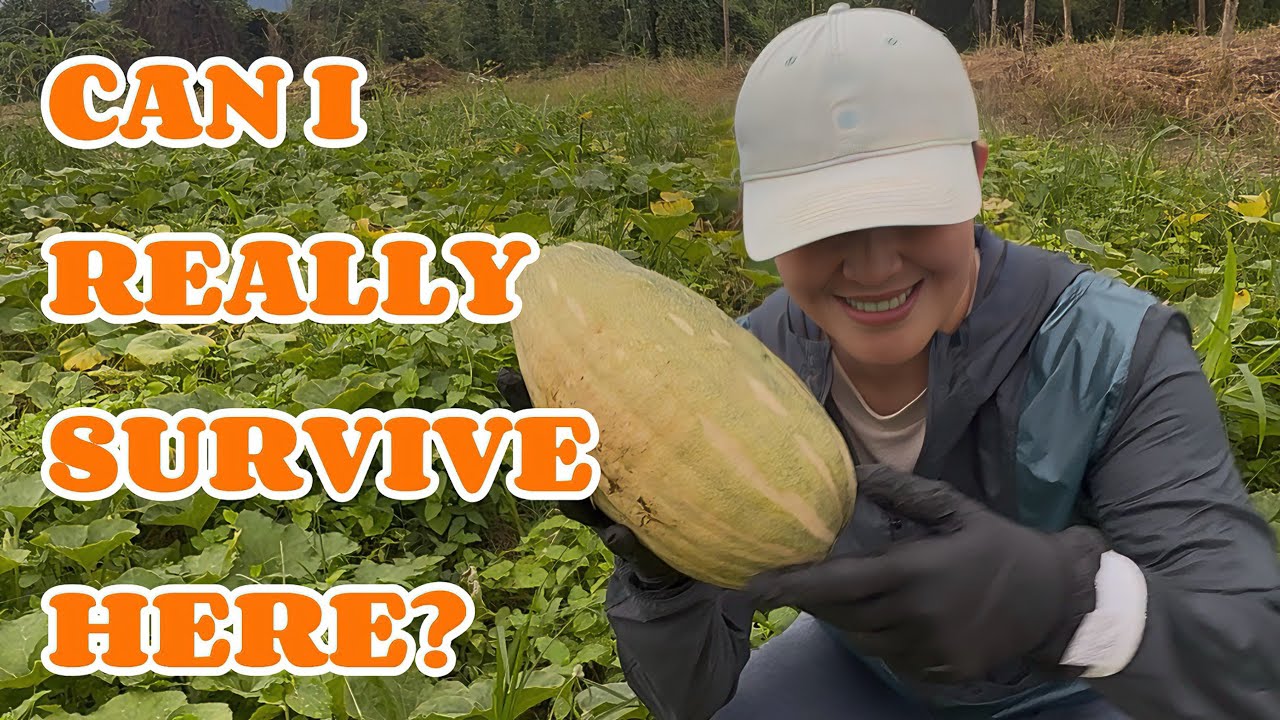 Simply Life in Countryside | Can I Survive Living Here With What I Earned? Harvesting Squash 