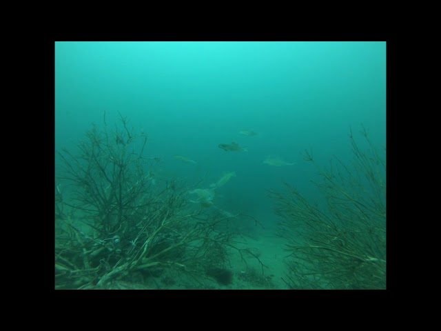 【8月14日】コロコロ変わる天気