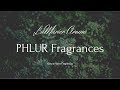 Phlur Fragrances: Sandara, Moab &amp; Greylocke - Natural Niche Fragrances