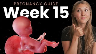 15 Weeks Pregnant | Week By Week Pregnancy