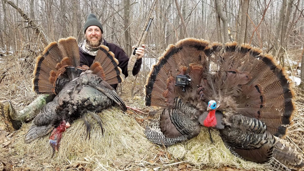 Wisconsin Turkey Hunting (Reaping with a Decoy) YouTube