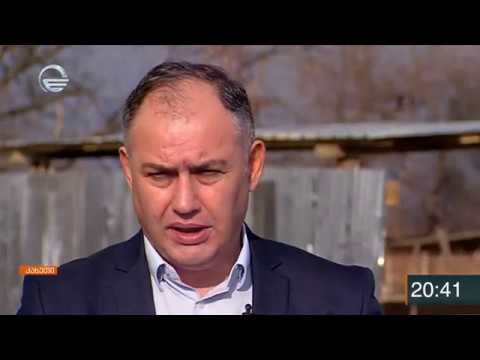 კახეთში პირველი ცხოველთა თავშესაფარი შენდება