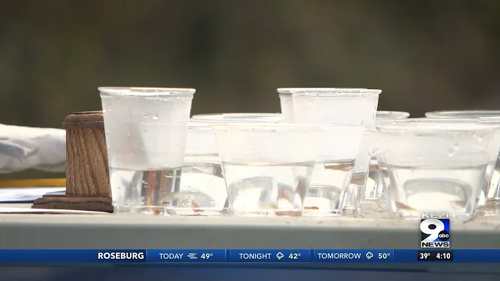 Eugene 4J elementary school students release salmon fry into the wild