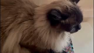 569851435 25804002692521119 2000742859084855134 n