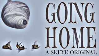 Going Home - Skeye