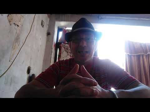 Poezija 50 -