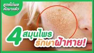 วิธีรักษาฝ้าให้หาย ด้วย 4 สมุนไพรนี้ (คัดมาแล้ว!!) 4 top herbs to treat melasma. screenshot 5