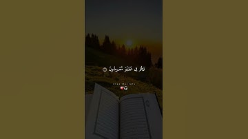 #تلاوة_مؤثرة #اكسبلور #quran #لايك