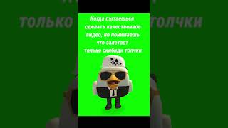 МИША, МИША ПРИВЕТ #МИША #МИШАПРИВЕТ #чикенган #chickengun #игра #den19k #fypシ #game #popular