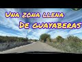 Video de Juchipila