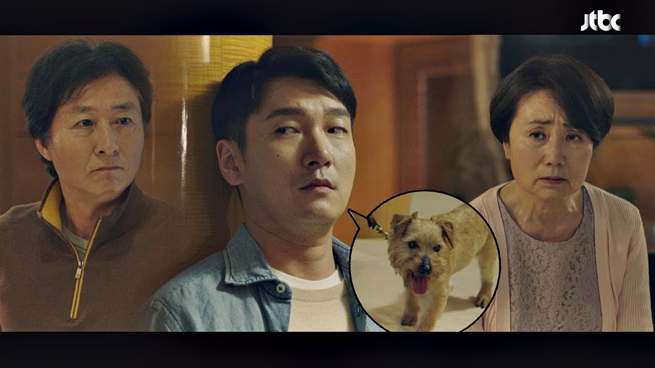 강아지 집으로 데려온 조승우(Cho Seung-woo) (사장님도 부모님께 혼납니다^^) 라이프(Life) 7회