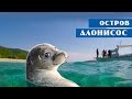 Остров Алонисос, Греция |  travel,  путешествия