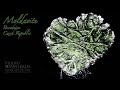 Heart Shaped Besednice Moldavite - Available At Studio Mineralia: The Earth Art Gallery