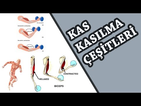 Kas Kasılma Çeşitleri