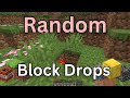 Minecraft, but All Block Drops Are Random???