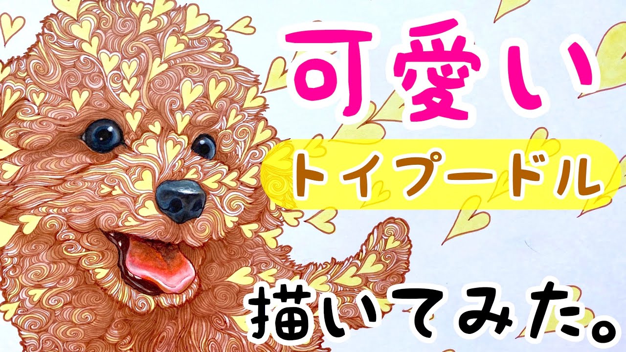 可愛いトイプードル 犬イラスト コピックを使いゼンタングルア トで可愛く描いてみた Shingoart トイプードル コピックメイキング ゼンタングル Youtube