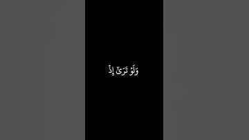 محمد أيوب - رحمه الله من سورة الأنعام | من آية ٢٩ إلى آية ٣٠ | #كرومات_قرآن #quran