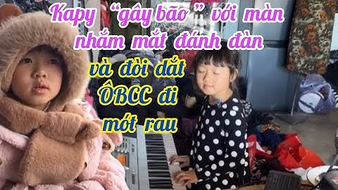Bé Kapy Tango “gây bão” với màn nhắm mắt đánh đàn và đòi dắt ÔBCC đi mót rau | Đoàn Văn Báu